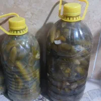 خیارشور اعلا