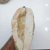 سنگ فسیلی بسیار نادر و قدمتدار|کلکسیون اشیاء عتیقه|چهارباغ, |دیوار