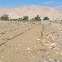 فروش زمین باغی 6400متر