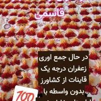 زعفران وخشکبار وزرشک....