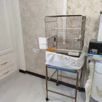 قفس کاسکویی