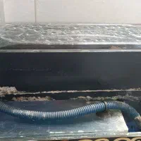 لوازم آکواریوم تکمیل|ماهی|پاکدشت, پاکدشت (مامازند)|دیوار