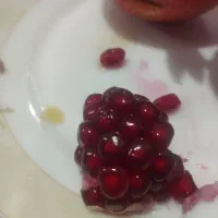 خرید بدون واسطه و مطمعن انواع ارقام نهال با کیفیت|خدمات باغبانی و درختکاری|شیراز, دارالرحمه|دیوار
