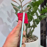 Note12 با شرایط اقساط|موبایل|سبزوار, ابوریحان|دیوار