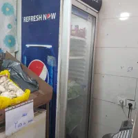 یخچال نوشابه پالت میوه|کافی‌شاپ و رستوران|تهران, صادقیه|دیوار