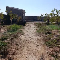 باغ فروشی انتهای کشمیری37|فروش زمین و ملک کلنگی|مشهد, شهید علی محمدی|دیوار