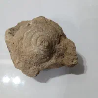 سنگ قدیمی