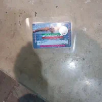 کارت ا ستخر