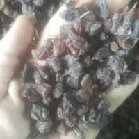 کشمش|خوردنی و آشامیدنی|بناب, |دیوار