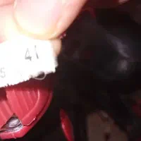 اسکیت|دوچرخه، اسکیت، اسکوتر|تهران, هاشمی|دیوار