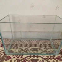 آکواریوم‌