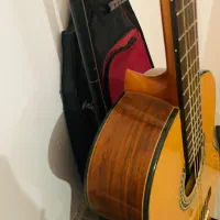 گیتار در حد نو|گیتار، بیس، امپلیفایر|فومن, |دیوار