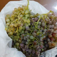انگور عسگری