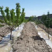 باغ ویلا در وایقان