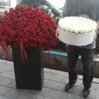 دسته گل رز هلندی فوق ممتاز کمترین قیمت(ارسال فوری)|گل و گیاه طبیعی|تهران, دژکام|دیوار