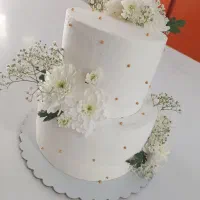 شیرینی کیک عقدعروسی با ما|خدمات پذیرایی، مراسم|کرمان, |دیوار