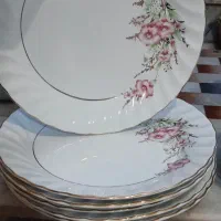 چینی اصل|ظروف سرو و پذیرایی|کرمانشاه, |دیوار