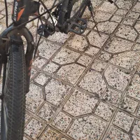 دوچرخه|دوچرخه، اسکیت، اسکوتر|قرچک, زیبا شهر|دیوار