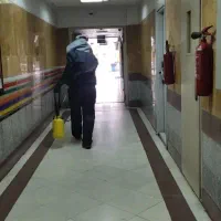 خدمات تخصص سمپاشی حشرات سوسک رتیل عقرب جوندگان موش