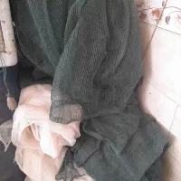 تور سایبان