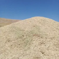 کماوگزره سارال