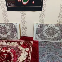 دوجفت پشتی نونو