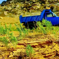 خاک باغچه ۱۰۰ درصد تضمینی ضمانتی گوربند کود گاوی