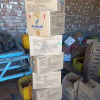 کارگر زرشک پاکنی