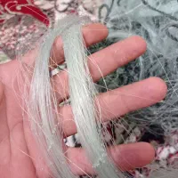 تور ماهیگیری