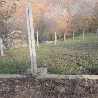 زمین ۲۵۰،۱۵۰متری در ولم|فروش زمین و ملک کلنگی|بهشهر, |دیوار