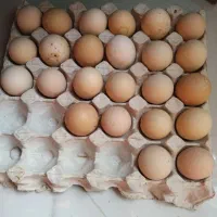 تخم مرغ لاری
