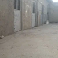 پانسیون اسب وتربیت اسب آموزش سوارکاری -نعلبندی