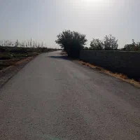 زمین ۶۰۰متری بلوار ارم