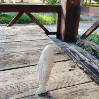 پیکر تراشی با چاقو