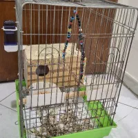 قفس بزرگ سالم