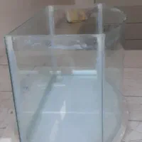 آکواریوم سالم