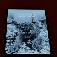 ایپد پرو ۲۰۲۲ وایفای ۱۲۸ گیگ ، ۱۱ اینچ|تبلت|تهران, نیاوران|دیوار