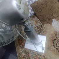 پنکه سالم به قیمت|پنکه و تصفیهکنندهٔ هوا|قم, قلعه کامکار|دیوار