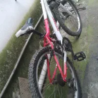 دوچرخه|دوچرخه، اسکیت، اسکوتر|لاهیجان, لیل|دیوار