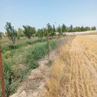 باسلام یک باب باغ در واقی روستای علی بلاغی|فروش زمین و ملک کلنگی|نمین, |دیوار