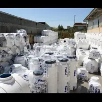 انوامخزنک تانگرآبراهی