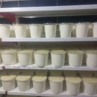 لبنیات سنتی فرخ منش درمسکن مهردولت آباد