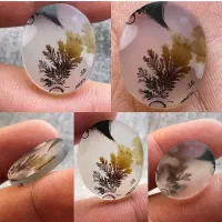 شجر قاین کلکسیونی|جواهرات|قائن, |دیوار