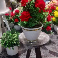 گل داوودی و مخمل