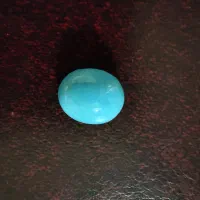 ۲عدد نگین مغز فیروزه نیشابور