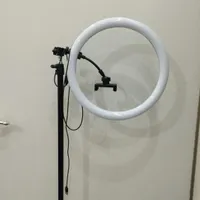 ریگ لایت