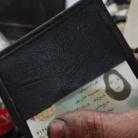 پیدا شده