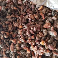 فروش کشمش|خوردنی و آشامیدنی|ایوان, |دیوار