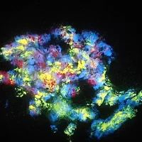 گوهر های قیمتی