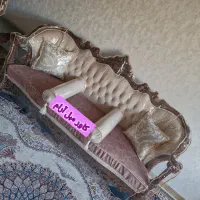 کاور مبل ژله ای|خدمات پیشه و مهارت|تبریز, |دیوار